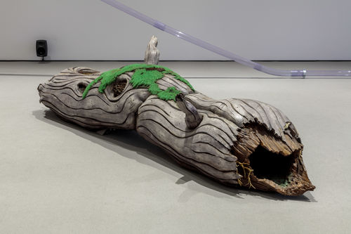 Log in gallery space.