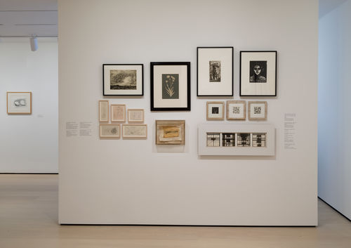 Photo of a a gallery wall with many framed works on it