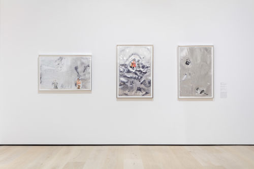 Andrea Bowers, installation view