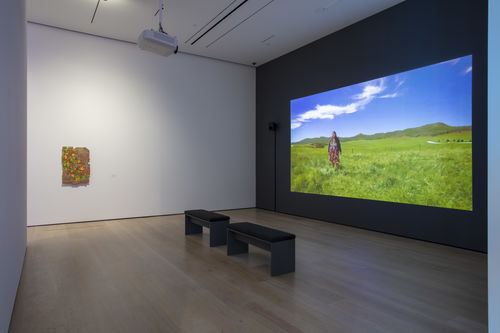 Andrea Bowers, installation view