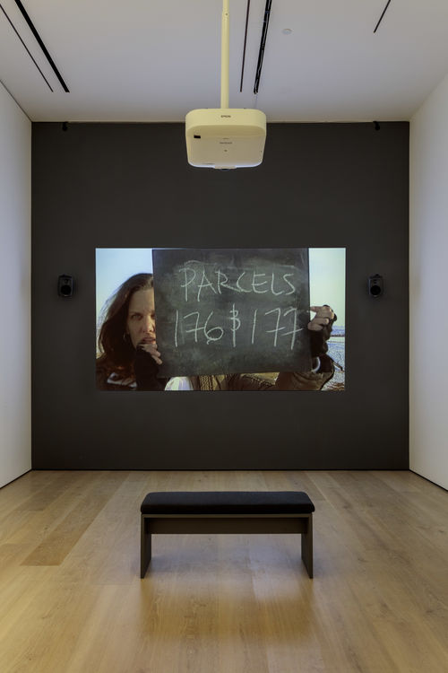 Andrea Bowers, installation view