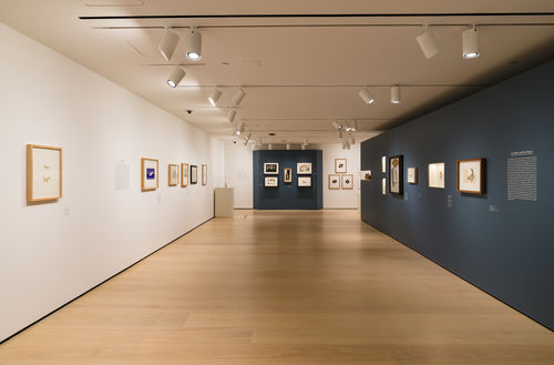 Installation view, Picasso Cut Papers at the Hammer Museum