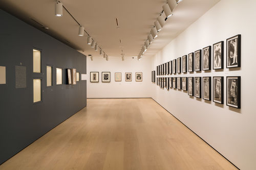Installation view, Picasso Cut Papers at the Hammer Museum