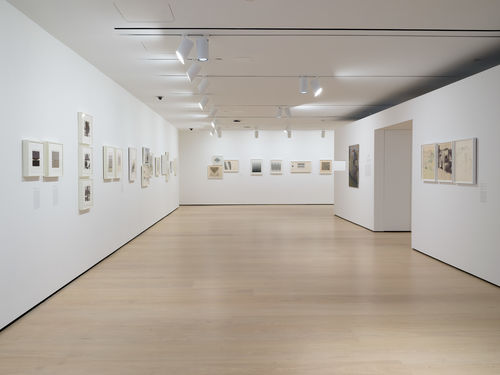 Gallery View