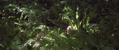 A man sleeps in a bed verdant plants