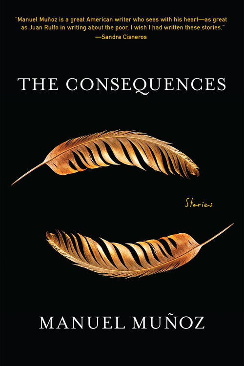 The Consequences book cover