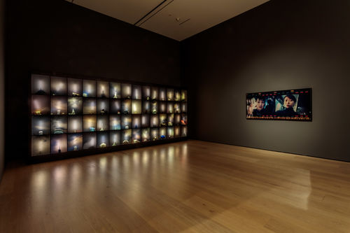 Cruel Youth Diary installation image