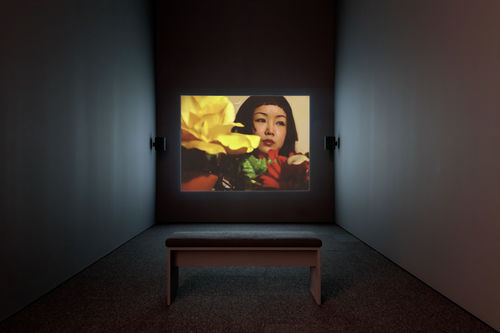 Cruel Youth Diary installation image