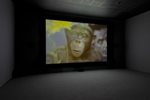 Installation view, This is the End 