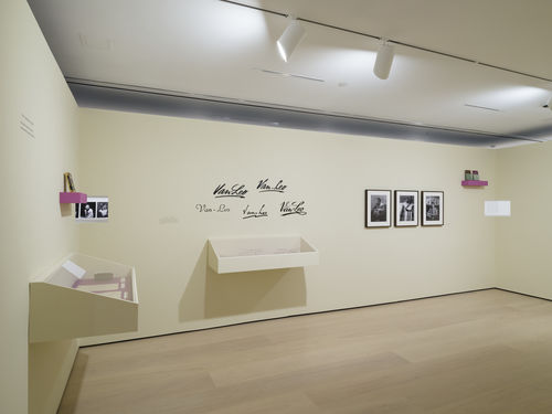 Gallery view of Becoming Van Leo