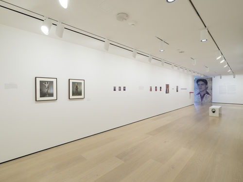 Gallery view of Becoming Van Leo