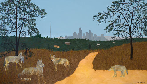 Image of a pack of coyotes standing in a grassy area, with a city skyline in the distance