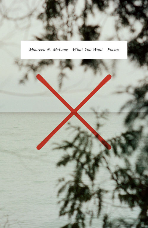 Cover of What You Want, by Maureen McLane