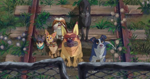 Animated still of a group of dogs