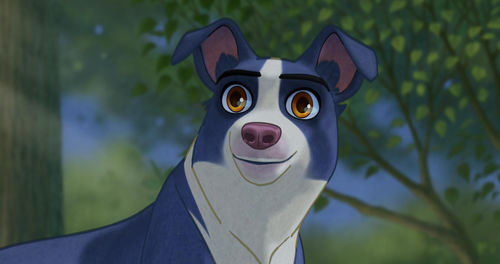 Animated still of a dog