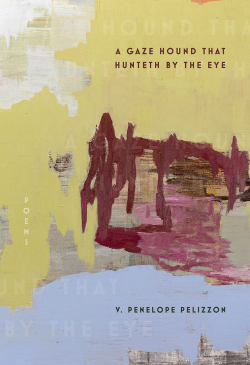 Book cover of A Gaze Hound That Hunteth By The Eye