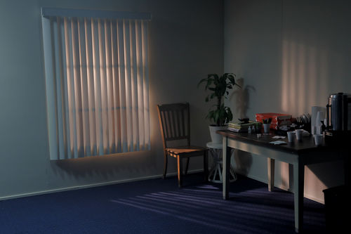 A dark room with vertical blinds on the window, a table with coffee on it, and a potted plant