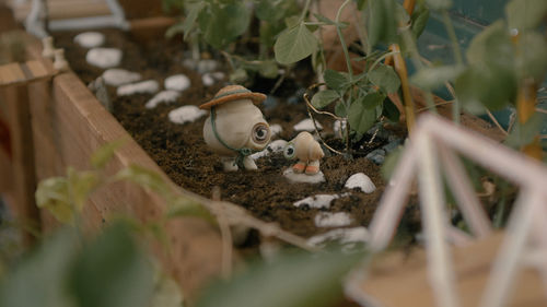Two anthropomorphized shells walk in a garden