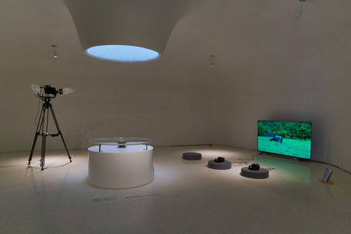 Gallery view of a multi-media art installation