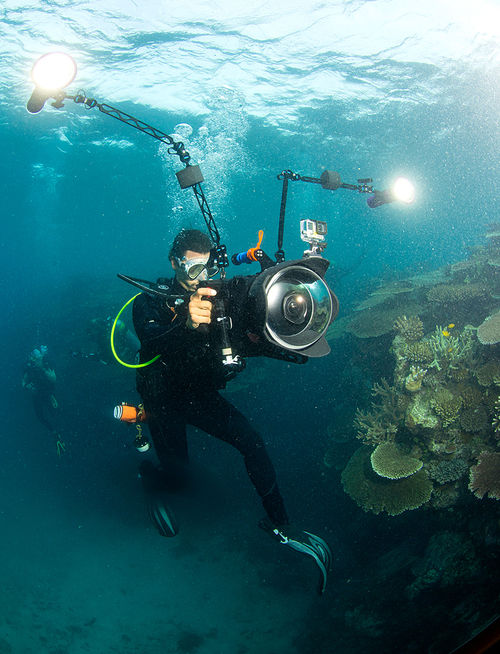 A diver holds a large underwater camera