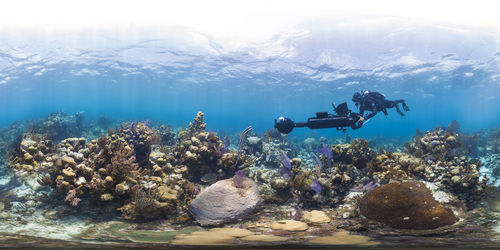 A diver holds a large underwater camera as he swims above a large coral reef