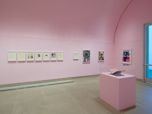 Installation view of framed works on paper installed on wall and in vitrines, the Vault gallery walls painted pink