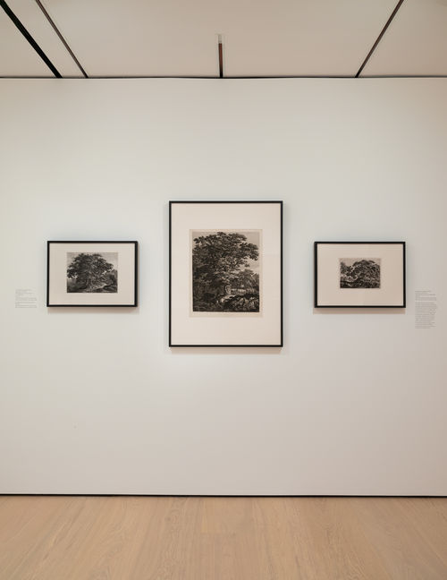 installation image of works on paper framed on walls