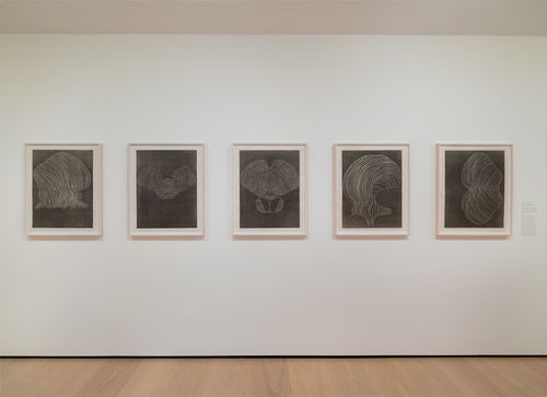 installation image of works on paper framed on walls