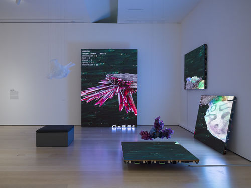 View of a gallery exhibition