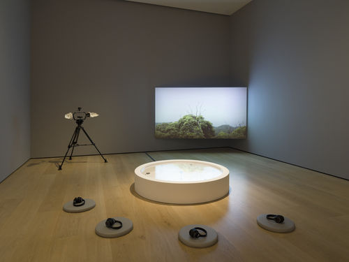 View of a gallery exhibition