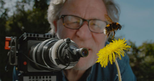 Martin Dohrn filming a bumblebee hovering over a dandelion