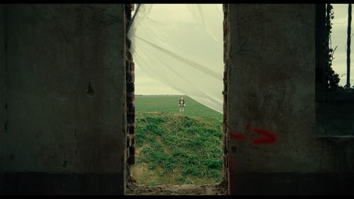 A green landscape seen through large window opening in a wall