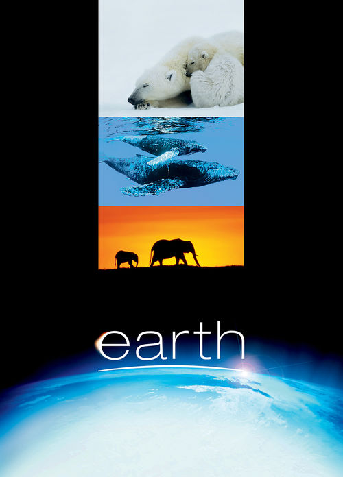 A collage image featuring planet Earth, a polar bear, whales, and elephants.