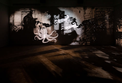Image of multimedia installation with elements of shadow puppetry