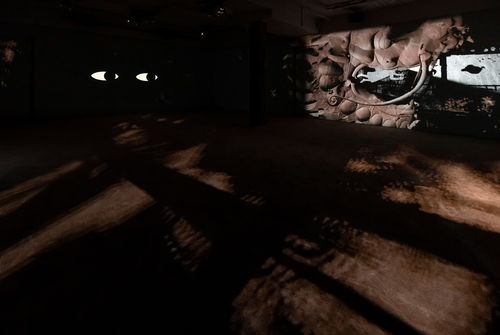 Image of multimedia installation with elements of shadow puppetry