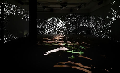 Image of multimedia installation with elements of shadow puppetry