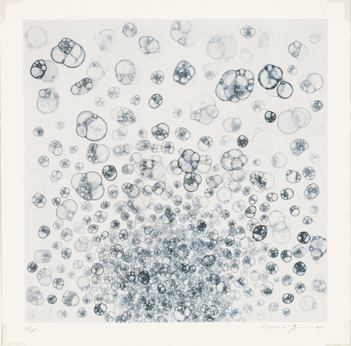 Square sprint of a field of bubbles