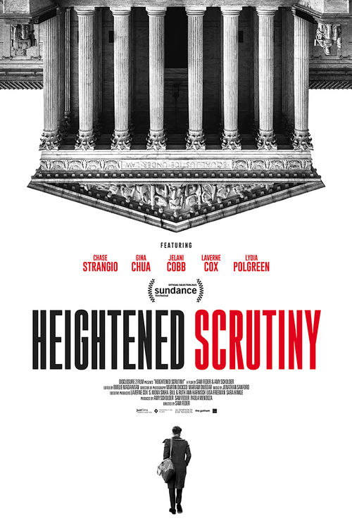 Poster for Heightened Scrutiny