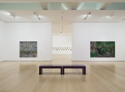 Noah Davis exhibition installation view