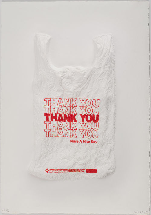 Plastic shopping back reading THANK YOU