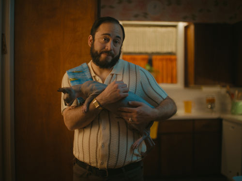 A bearded man holds a hairless cat in his arms