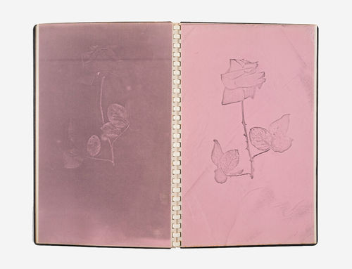 Open book with light pink impressions of a rose