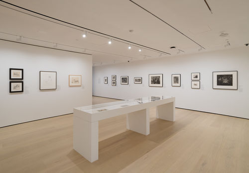 Gallery with works on paper installed on the wall and in a vitrine