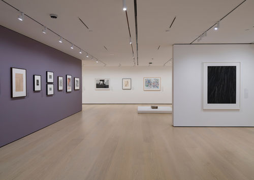 Gallery with works on paper installed on the wall and on a plinth