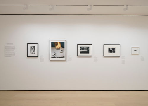 Gallery with framed works on paper mounted on the wall
