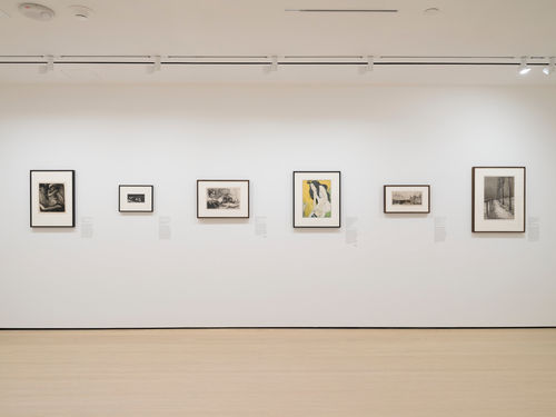 Gallery with framed works on paper mounted on the wall