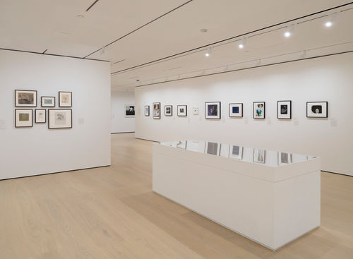 Gallery with works on paper installed on the wall and in a vitrine