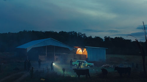 In the dark, a farm building illuminates the setting, with silhouettes of cows, a car, and multiple people with flashlights