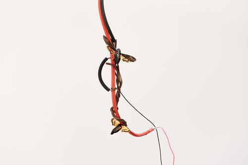 Close up image of a knot of cables, with two large moths attached to it