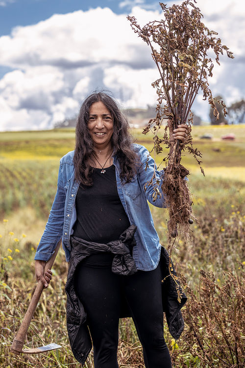 Woman with dark straight hair covering her shoulders, stands in a field, with a handful of grain stalks in one hand, and a hoe in the other